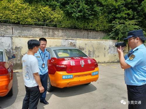 东莞市驾校爆料案件最新